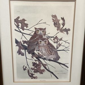 John Ruthven, Screech Owls